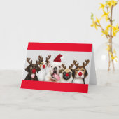 HUNDE IN RINDEKOSTEN CUSTOM Grußkarte Karte (Gelbe Blume)