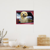 Hunde in rotem Autofenster Poster (Küche)