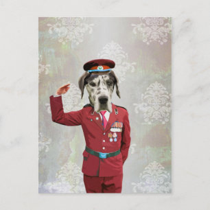 Hunde in roter Uniform Postkarte