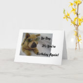 Hunde in Sonnenbrille Karte (Gelbe Blume)