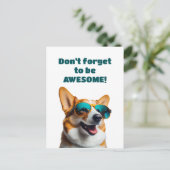 Hunde in Sonnenbrillen Vergessen Sie nicht, Phanta Postkarte (Stehend Vorderseite)