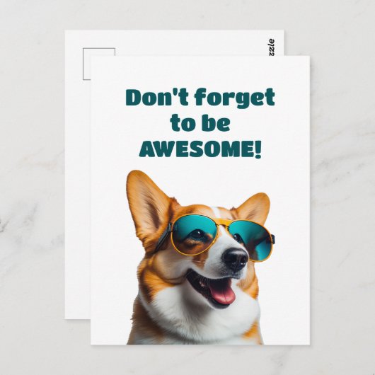 Hunde in Sonnenbrillen Vergessen Sie nicht, Phanta Postkarte (Vorne/Hinten)