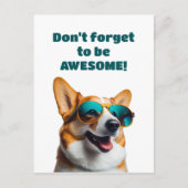 Hunde in Sonnenbrillen Vergessen Sie nicht, Phanta Postkarte (Vorderseite)