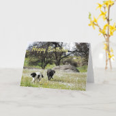 Hunde in Springtime Happy Geburtstagsgrüße Karte (Gelbe Blume)