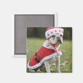 Hunde in Urlaubskostüm Magnet (Vorderseite/Rückseite)
