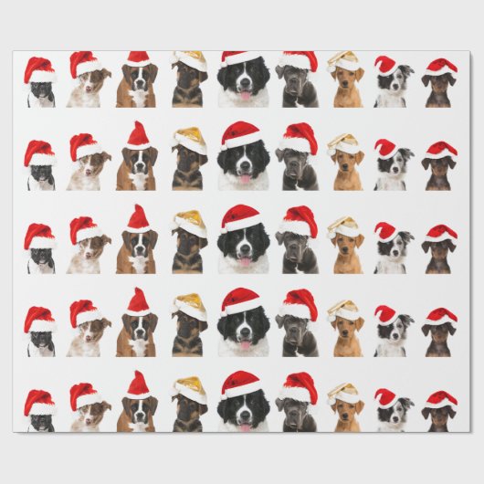 Hunde in Weihnachtsmannmütze Wrapping Paper für We Geschenkpapier (Flach)