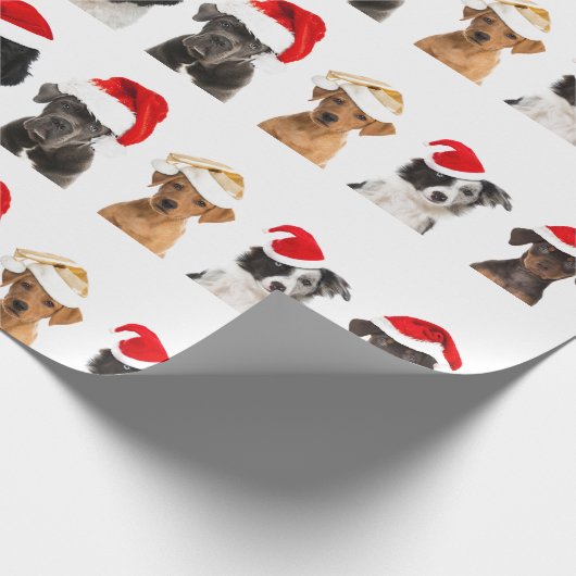 Hunde in Weihnachtsmannmütze Wrapping Paper für We Geschenkpapier (Ecke)