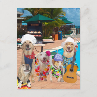 Hunde individuell gestaltbare Schwimmbecken Party/ Einladung