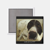 Hunde Jahre Magnet (Vorderseite/Rückseite)