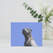 Hunde Jahre... Postkarte (Stehend Vorderseite)