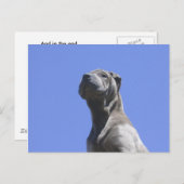 Hunde Jahre... Postkarte (Vorne/Hinten)