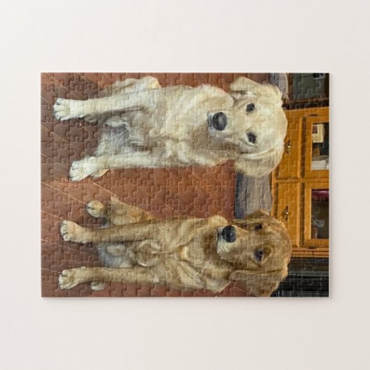 Hunde Jigsaw Puzzle (Horizontal)