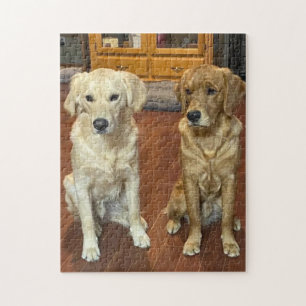 Hunde Jigsaw Puzzle