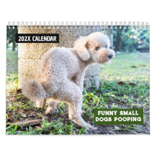 Hunde Kackend 2025 Kalender