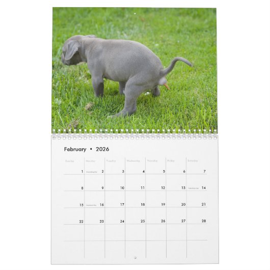 Hunde Kackend 2026 Kalender (Feb 2026)
