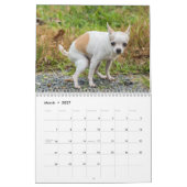 Hunde Kackend 2026 Kalender (Mär 2027)