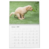 Hunde Kackend 2026 Kalender (Jan 2027)