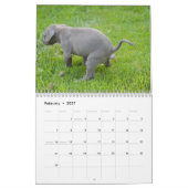 Hunde Kackend 2026 Kalender (Feb 2027)