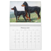 Hunde! Kalender (Feb 2026)