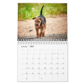 Hunde Kalender (Jan 2027)