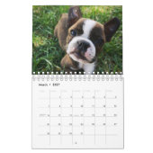Hunde Kalender (Mär 2027)