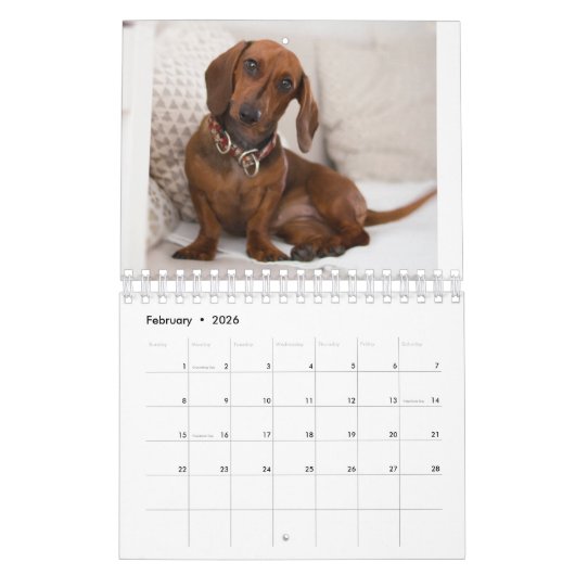 Hunde Kalender (Feb 2026)