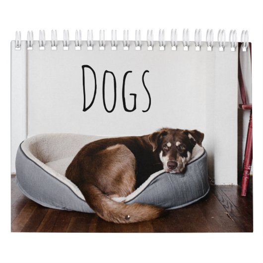 Hunde Kalender (Titelbild)