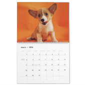Hunde Kalender Haustiere Pop (Mär 2026)