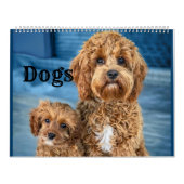 Hunde Kalender Haustiere Pop (Titelbild)