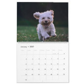 Hunde Kalender Haustiere Pop (Jan 2027)