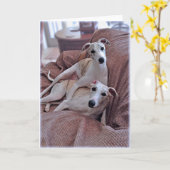 Hunde Karte (Gelbe Blume)