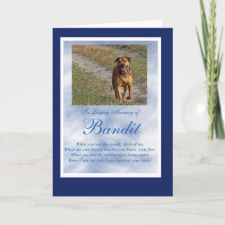Hunde Katze Beileid Custom Foto Spirituelles Gedic Karte
