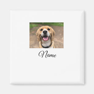 Hunde Katze Foto hinzufügen Haustiername cu benutz Magnet