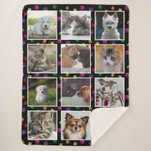 Hunde Katzen farbenfrohe Paw Prints Custom Foto Co
