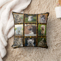 Hunde Katzen Herbstpfade druckt Haustiere FotoColl