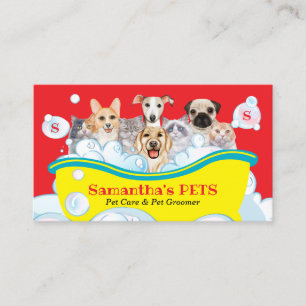 Hunde Katzen Wellness-Center Sitter Groom PetCare  Visitenkarte