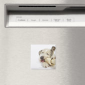 Hunde Kauen auf dem Rohbeinknochen Magnet (In Situ (Geschirrspüler))