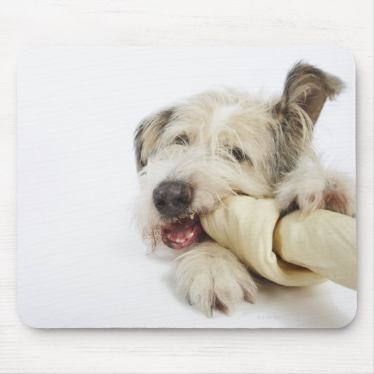 Hunde Kauen auf dem Rohbeinknochen Mousepad (Vorne)
