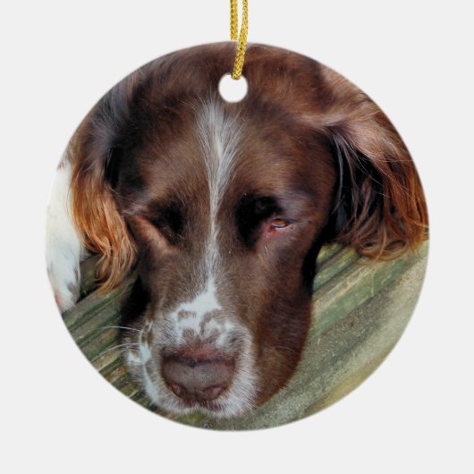 HUNDE KERAMIKORNAMENT (Vorne)