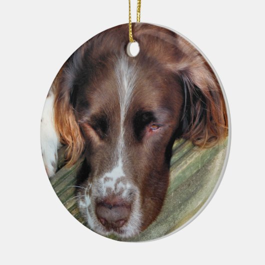 HUNDE KERAMIKORNAMENT (Links)