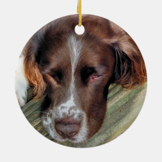 HUNDE KERAMIKORNAMENT (Hinten)