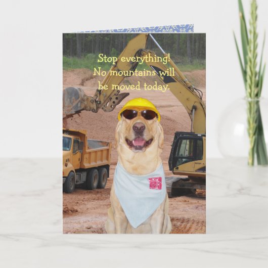 Hunde/Labrador zum Geburtstag Karte (Vorderseite)