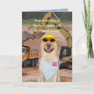 Hunde/Labrador zum Geburtstag Karte