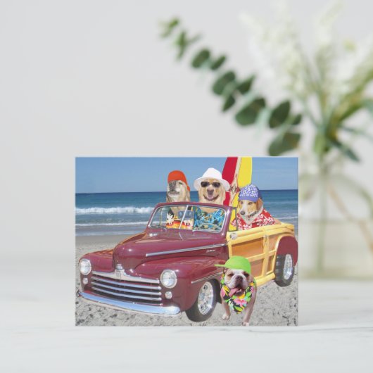 Hunde/Labradore am Strand in einem Wald Postkarte (Stehend Vorderseite)