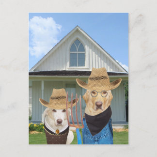 Hunde/Labradore Postkarte