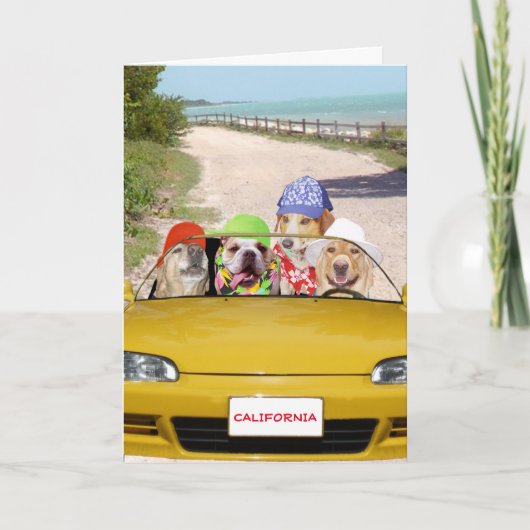 Hunde/Labradore Surfer Geburtstagskarte Karte (Vorderseite)