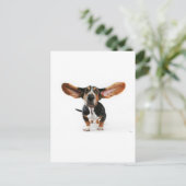 Hunde lange Ohren Postkarte (Stehend Vorderseite)