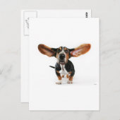 Hunde lange Ohren Postkarte (Vorne/Hinten)