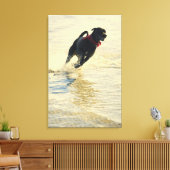 Hunde laufen im Wasser Leinwanddruck (Insitu (Wohnzimmer))