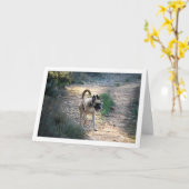 Hunde laufen und springen karte (Gelbe Blume)